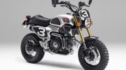 Honda MSX 50 scrambler.jpg