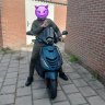 Zip iget 50cc Utrecht