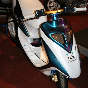 SA CustomShow 2008 #3