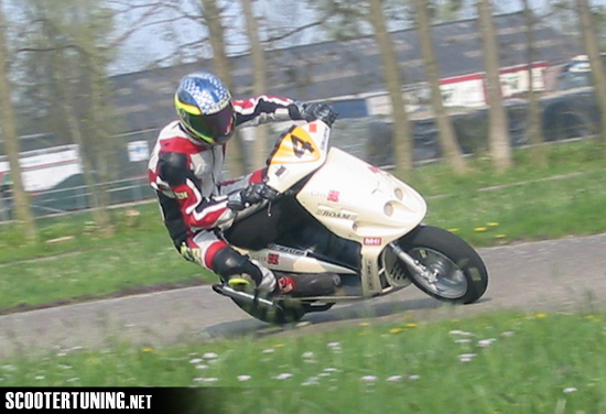 Brakel #29