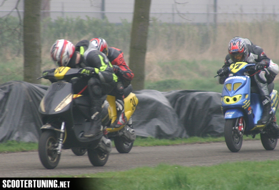 Brakel #37