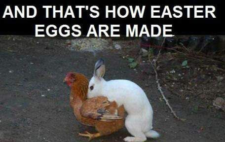 and-thats-how-easter-eggs-are-made.jpg