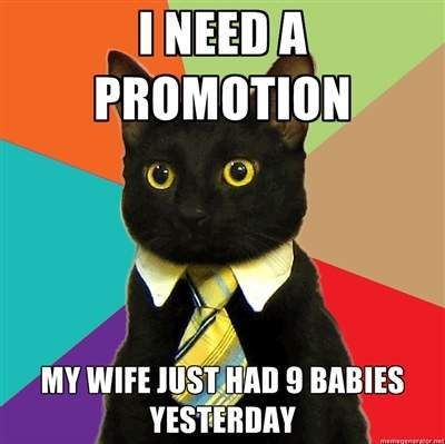 cat-need-promotion.jpg