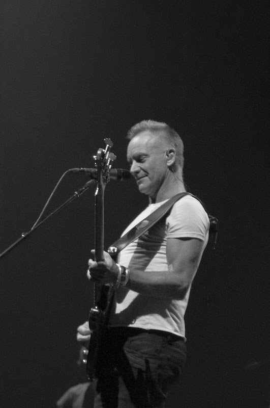 Sting-1.jpg